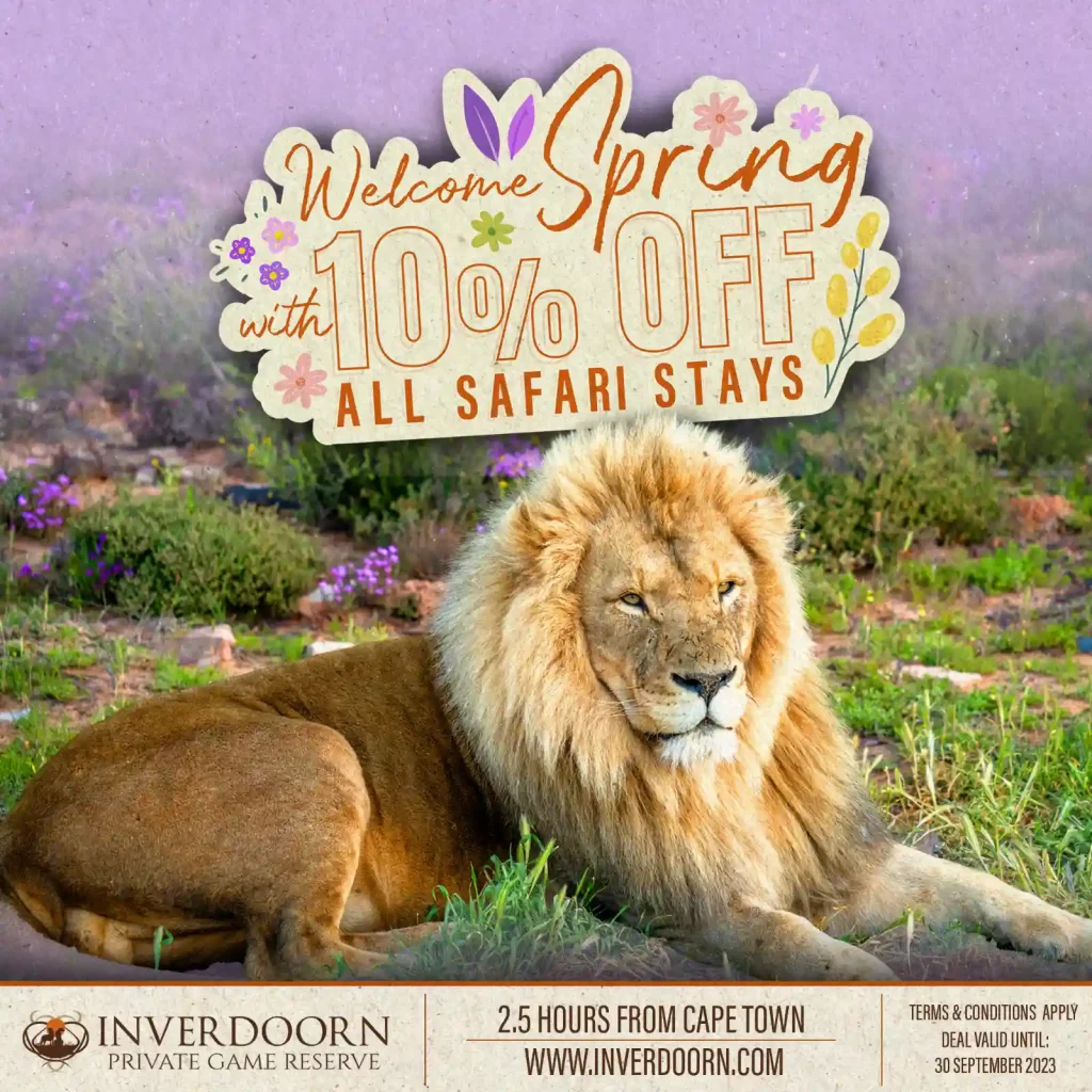 Exclusive offer: Spring Safari discount banner showing 10% off all overnight safari stays